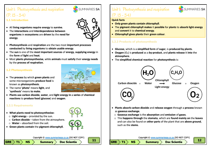 Grade 8 Natural Sciences (NS) Summaries - Term 1 (Doc Scientia) - Image 5