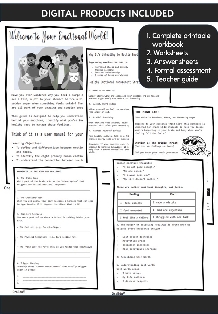 Life Orientation : Grade 10 - 12: Emotional Intelligence and Anger Management - Image 2