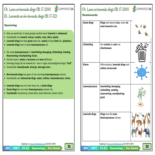 Graad 4 Natuurwetenskappe en Tegnologie (NWT) Opsommings - Kwartaal 1 (Doc Scientia) - Image 4