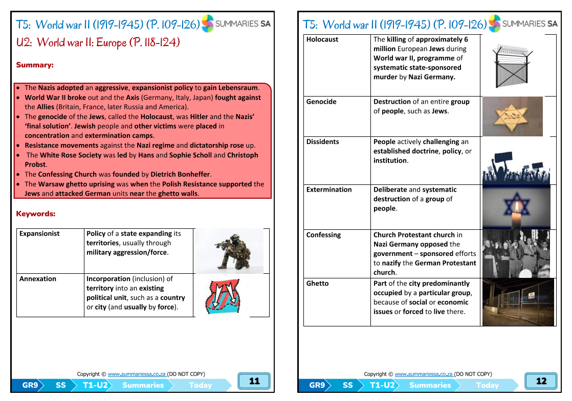 Grade 9 History Summaries – Term 1 (Today) (CAPS) | PDF - Image 5