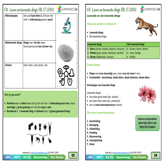 Graad 4 Natuurwetenskappe en Tegnologie (NWT) Opsommings - Kwartaal 1 (Doc Scientia) - Image 5