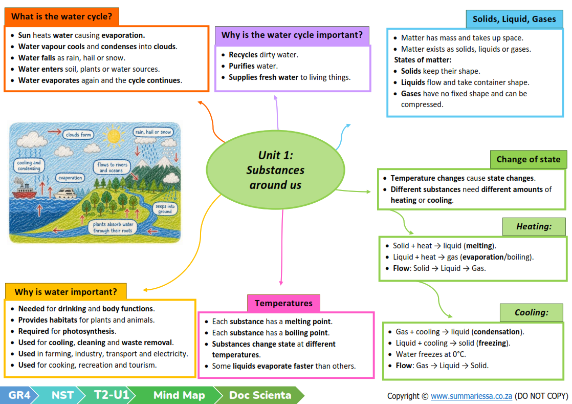 Grade 4 Natural Sciences and Technology (NST) Summaries - Term 2 (Doc Scientia) - Image 4