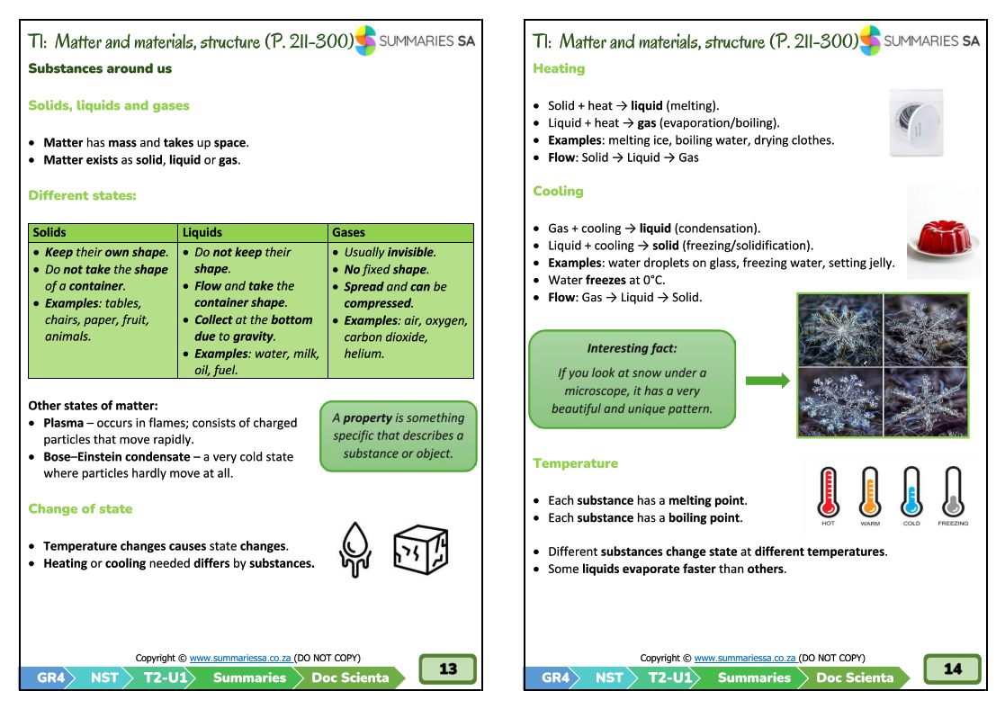 Grade 4 Natural Sciences and Technology (NST) Summaries - Term 2 (Doc Scientia) - Image 2