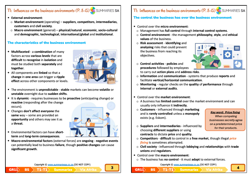 Grade 11 Business Studies Summaries – Term 1 (Via Afrika) (CAPS) | PDF - Image 3
