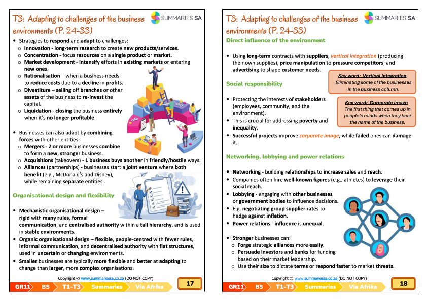 Grade 11 Business Studies Summaries – Term 1 (Via Afrika) (CAPS) | PDF - Image 4