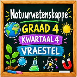 Graad 4 Natuurwetenskap en Tegnologie Kwartaal 4 Vraestel